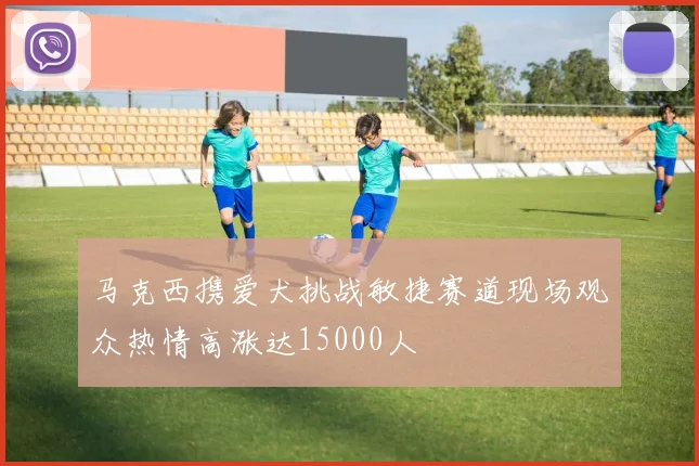 马克西携爱犬挑战敏捷赛道现场观众热情高涨达15000人