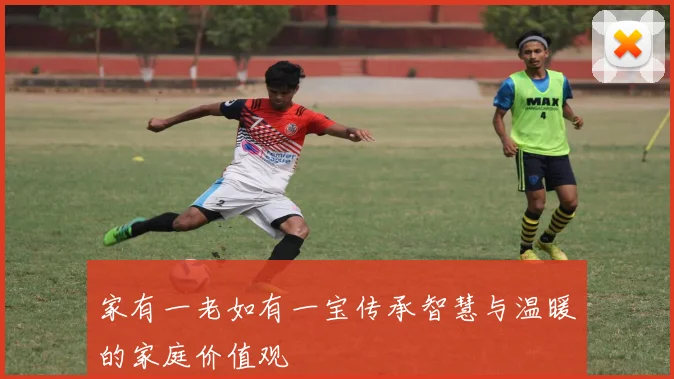 家有一老如有一宝传承智慧与温暖的家庭价值观